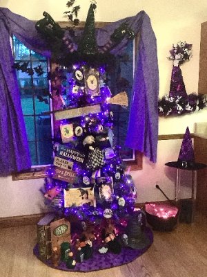 IMG_6240.jpeg