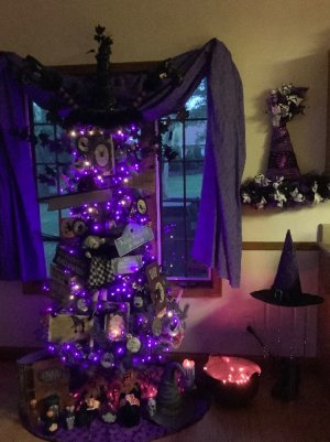 IMG_6241.jpeg