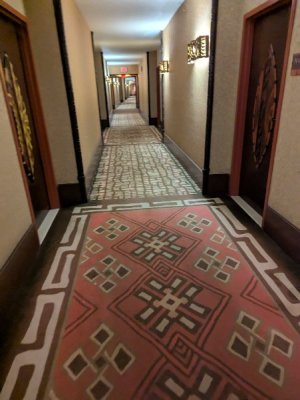 PXL_20250811_030826174.jpg