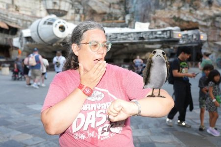 2025-08-12 - Disneys Hollywood Studios - Millennium falcon_2.jpeg