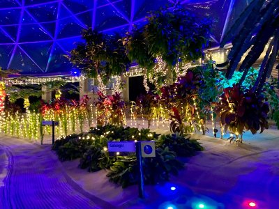 IMG_0235.jpeg