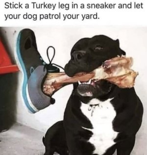 1755958670253.jpeg