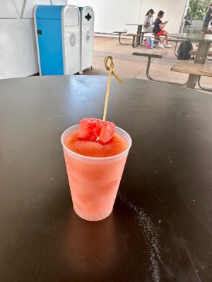 IMG_9091.jpeg