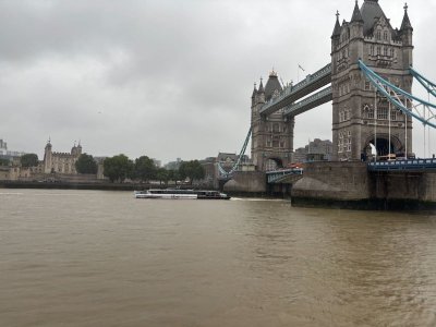IMG_2615.jpeg