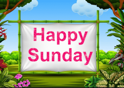 IMG_6346.gif
