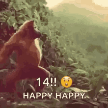 IMG_6348.gif