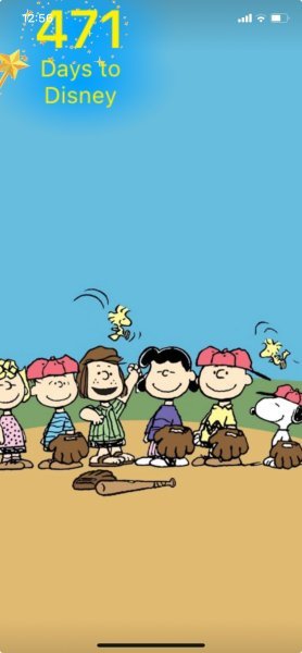 SW PEANUTS BASEBALL.jpeg