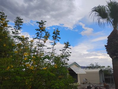IMG_20250825_151431786.jpg