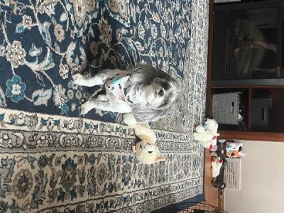 IMG_7630.jpeg