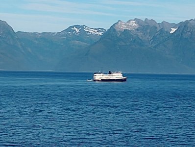IMG_20250813_090800216.jpg