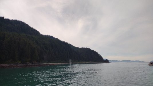 IMG_20250814_121020714.jpg