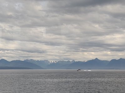 IMG_20250814_113443518.jpg
