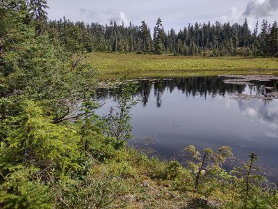 IMG_20250814_151527708_HDR.jpg