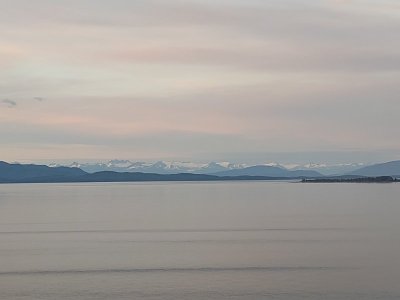 IMG_20250814_204110457.jpg