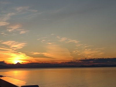 IMG_20250814_204306326.jpg