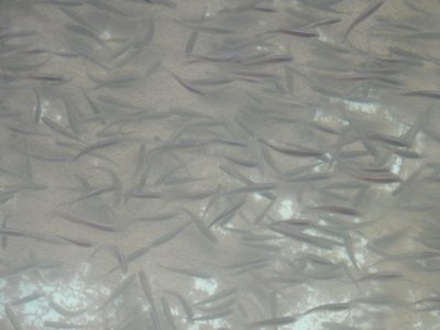 DSCN2819.JPG