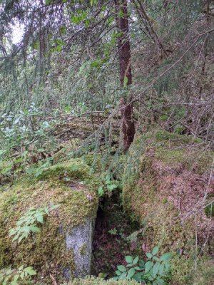 IMG_20250815_121954192_HDR.jpg