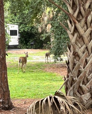 IMG_4489.jpeg