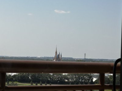 IMG_8714.jpeg