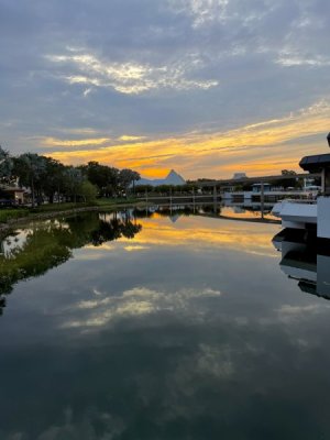 IMG_2592.jpeg