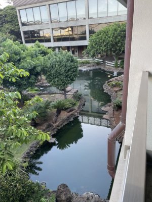 IMG_4052.jpeg