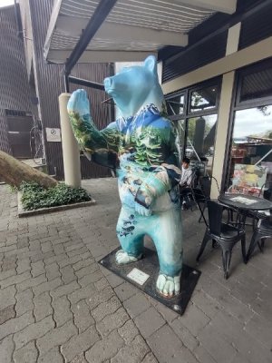 IMG_20250818_144947386_HDR.jpg