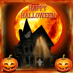 IMG_6121.gif