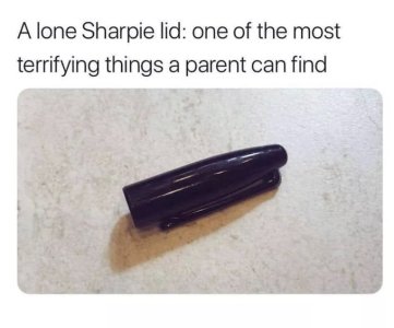 lid.jpg