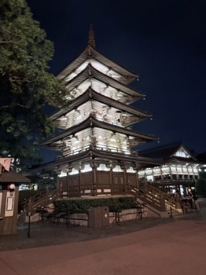 IMG_2608.jpeg