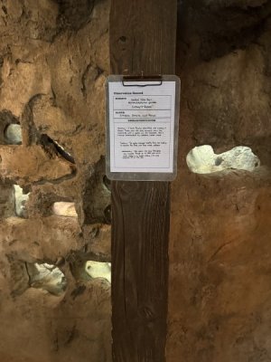 IMG_2028.jpeg