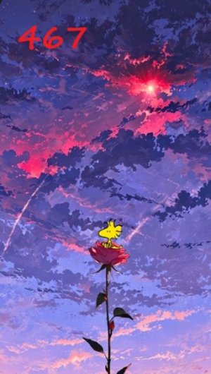 WOODSTOCK SUNSET.jpg