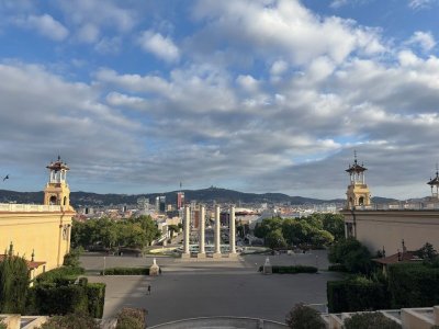 IMG_2770.jpeg