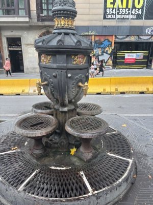 IMG_2773.jpeg