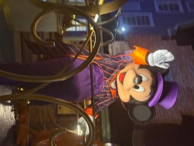 IMG_4448.jpeg