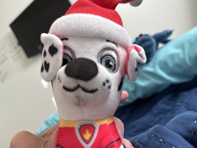 image.jpg