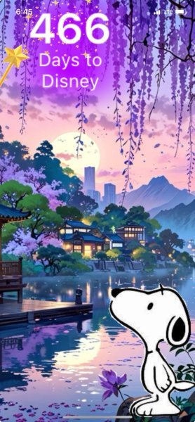 SNOOPY SUNSET.jpeg