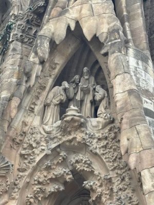 IMG_6183.jpeg