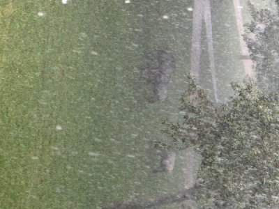 IMG_0254.jpeg