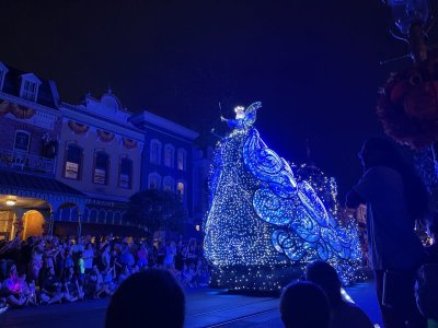 IMG_1529.jpeg