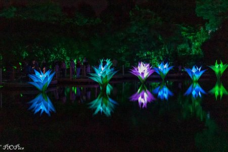 250411 Lightfall-4770.jpg