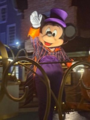 IMG_6440.jpeg