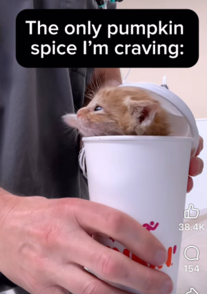 1756653587130.png