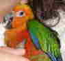 Soleil2004