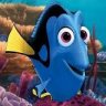 IMDORY