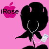 rosesredrosered