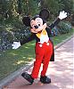 donegonegoofy