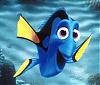 Dory4Vs