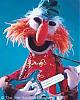 muppetfreak