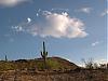 ArizonaMom