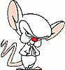 The Brain
